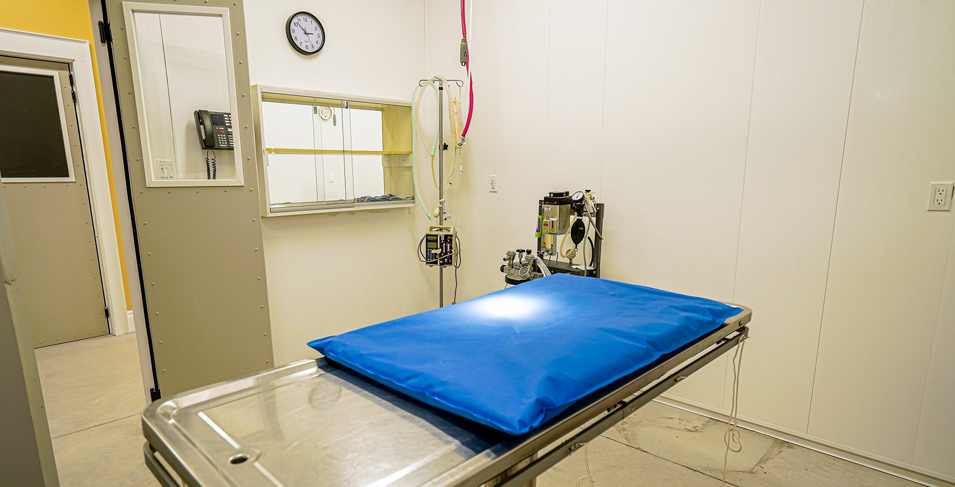 Maple-Crest-Veterinary-Services_71