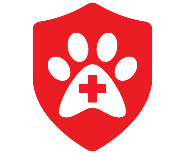 examination-maple-crest-vet-services