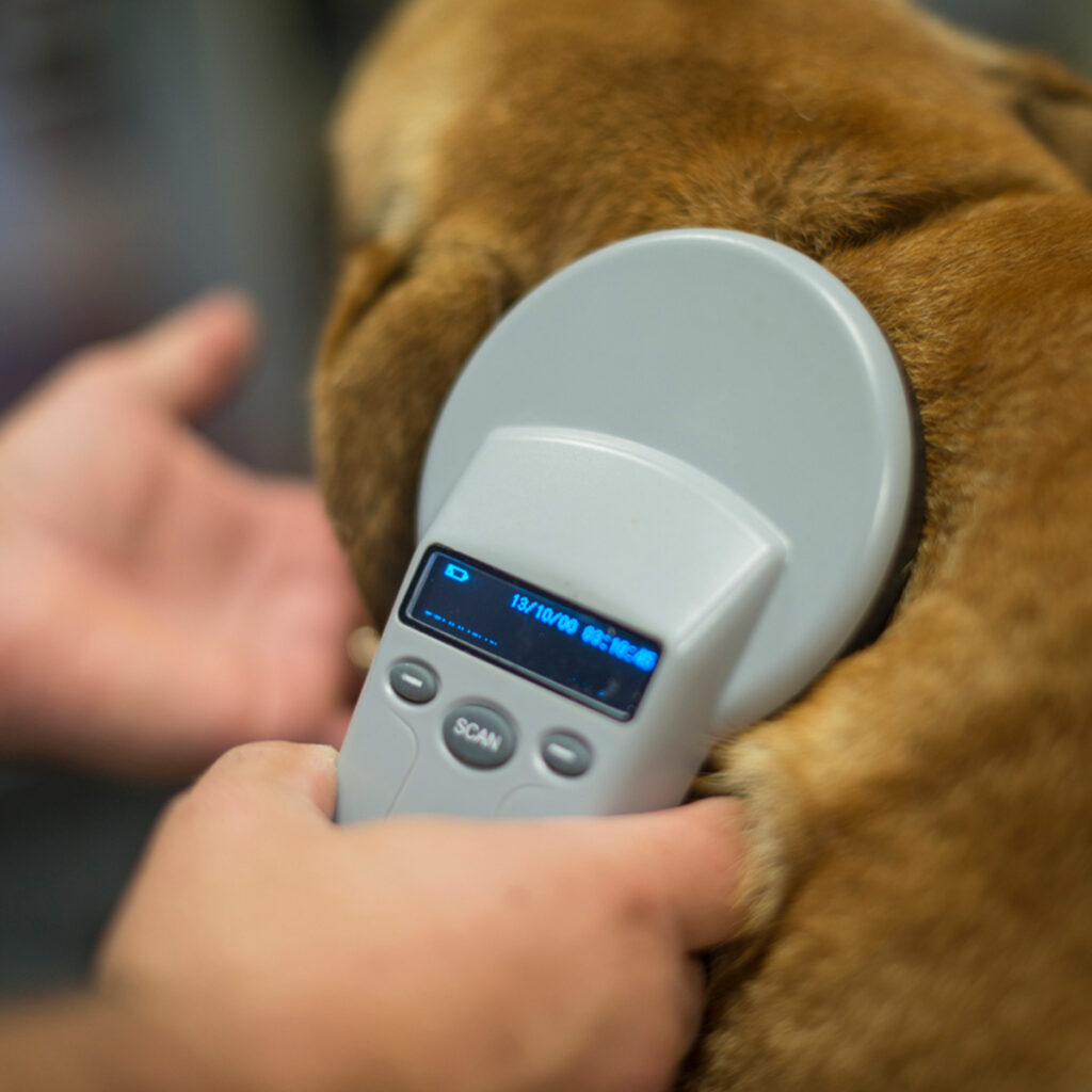 vaccine-microship-clinic